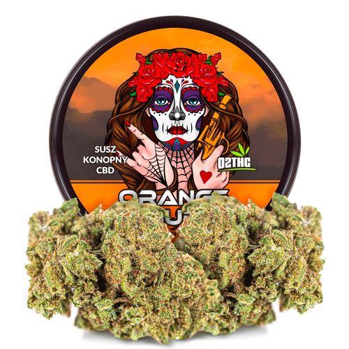 Susz konopny CBD | ORANGE BUD | 50 g na Arena.pl