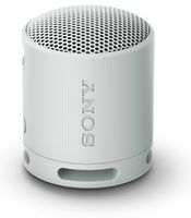 Głośnik przenośny bluetooth Sony SRS-XB100H Szary