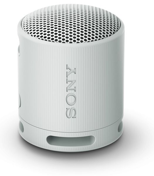 Głośnik przenośny bluetooth Sony SRS-XB100H Szary zdjęcie 1
