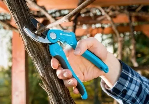 SEKATOR NOŻYCOWY IDEAL FI16 40-414 CELLFAST zdjęcie 2