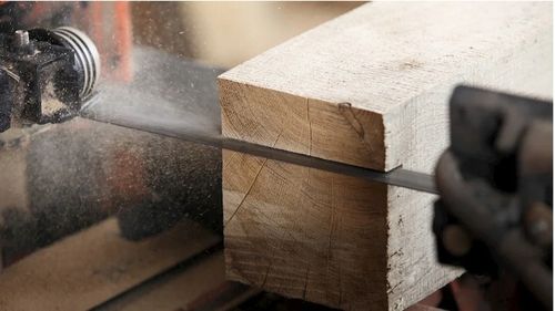 Brzeszczot Wood-Mizer StartCUT do traków taśmowych na Arena.pl