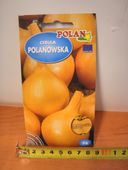 nasiona 5g cebula polanowska pn3523
