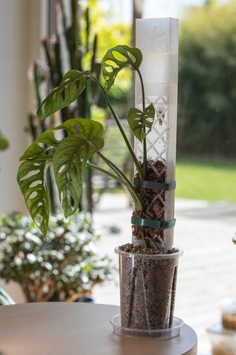 SPHAGROW AQUADRIP Nawadniacz kropelkowy do palika SPHAGROW D-6-25 na Arena.pl