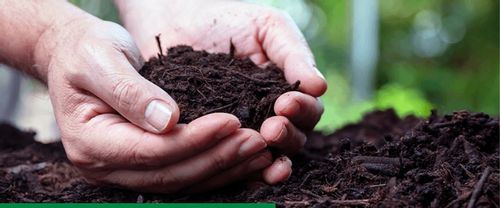 ROSAHUMUS 1kg nawóz organiczny kwasy humusowe POTAS POPRAWIA JAKOŚĆ GLEBY na Arena.pl