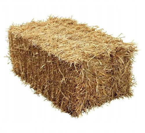 SŁOMA NA KOMPOST, DO BUDY, LEGOWISKO DLA PSA, ŚCIÓŁKA DLA GRYZONI, 80L na Arena.pl