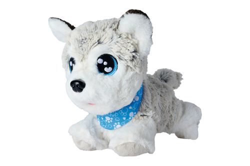 Happy Husky. Chi Chi Love na Arena.pl