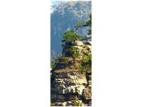 40X100CM WIDOK GÓRY OBRAZ PION