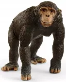 SCHLEICH WILD LIFE Szympans 14883
