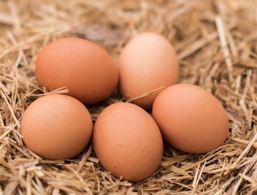 Mieszanka paszowa dla kur niosek, SMACZNA i prosta kompozycja 20kg na Arena.pl