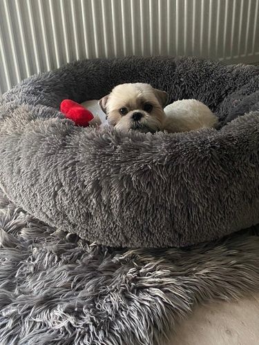 Legowisko posłanie Chmurka dla psa i kota Shaggy 80 na Arena.pl