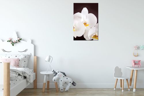 Obraz Drukowany 40X60 Piękny Storczyk na Arena.pl