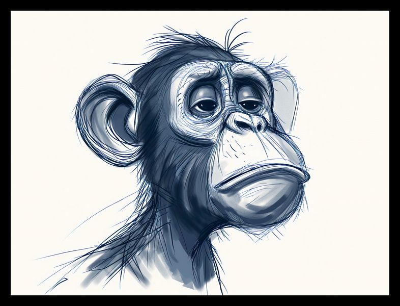 Plakat 40x30cm Zaduma zdjęcie 2