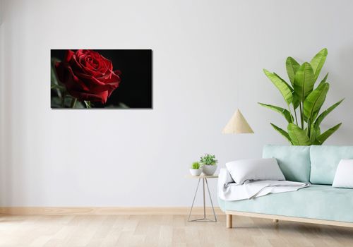 Obraz 90x50cm Róża w Półcieniu na Arena.pl