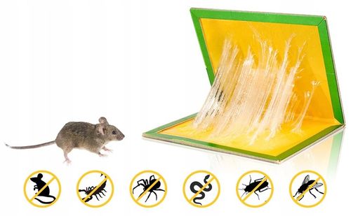 30x SILNY LEP NA MYSZY PUŁAPKA Z KLEJEM ŁAPKA SZCZURY MYSZOŁAPKA na Arena.pl