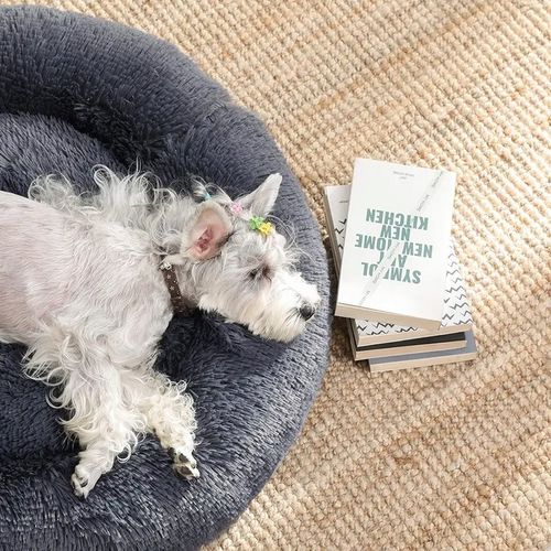 MIĘKKIE LEGOWISKO DLA PSA KOTA POSŁANIE KOJEC 60CM na Arena.pl