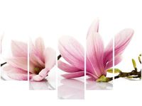 100CM 150CM OBRAZ 5 ELEM RÓŻOWE MAGNOLIE ŚCIENNY