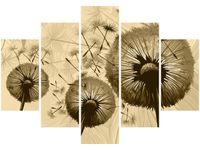 105CM 150CM OBRAZ 5 ELEM DMUCHAWCE KREMOWYM TLE DRUK