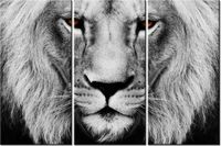 product-compare-58676444