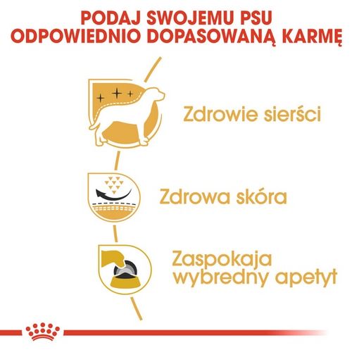 Karma dla psów dorosłych rasy West Highland White Terrier Royal Canin 1,5kg na Arena.pl
