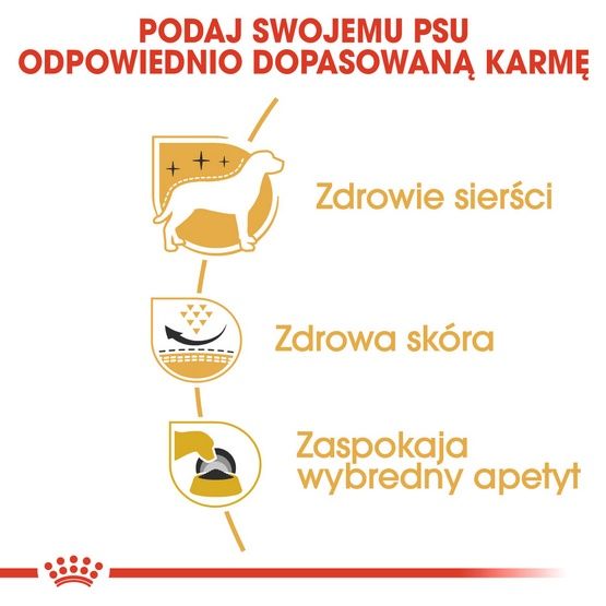 Karma dla psów dorosłych rasy West Highland White Terrier Royal Canin 1,5kg zdjęcie 5