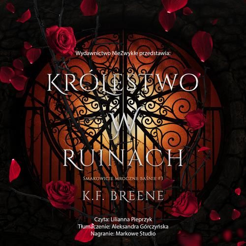 (mp3) Królestwo w ruinach zdjęcie 1
