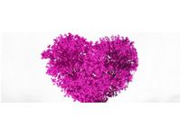 OBRAZ TREE OF LOVE MIŁOŚĆ SERCE PRZYRODA