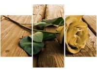 product-compare-58646276