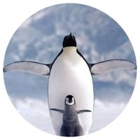 Opłatek na tort Urodziny Pingwin Pingwiny Tupot Małych Stóp Madagaskar