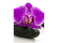 50X70CM STORCZYK KAMIENIU OBRAZ PION ŚCIAN