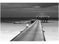 product-compare-58694362