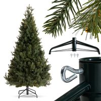 Choinka Świerk Leśny 180cm