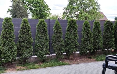 SIATKA CIENIUJĄCA 1,5x25m MASKUJĄCA 90% OSŁONA MATA NA OGRODZENIE PŁOT na Arena.pl