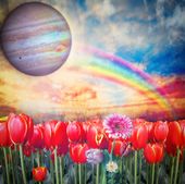 FOTOTAPETA KWIATY PLANETA CZERWONE TULIPANY TĘCZA