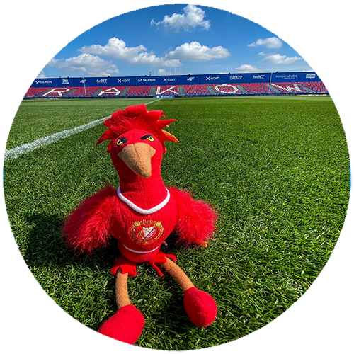 Podkładka pod myszkę Widzew Łódź na Arena.pl