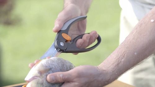 NOŻYCE DO RYB 22CM 1003032 FISKARS na Arena.pl
