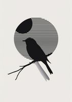 Plakat 21x29,7cm Kontrast Smukłości