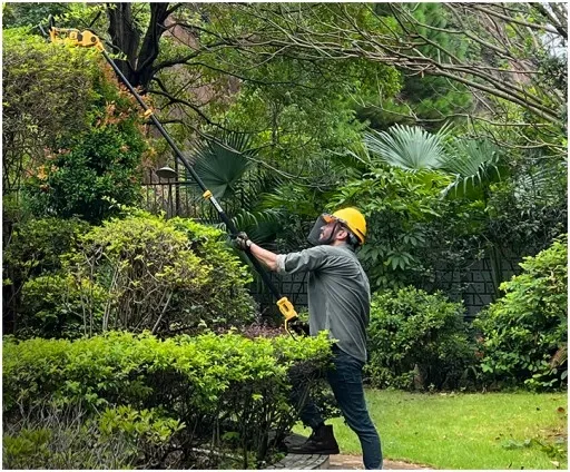 NOŻYCE DO ŻYWOPŁOTU AKUMULATOROWE DO KRZEWÓW IMOUM AKUMULATOR ZESTAW 21V zdjęcie 11