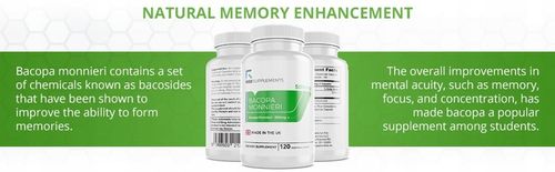 Bacopa Monnieri 120 Kapsułek po 500mg Rise Supplements na Arena.pl