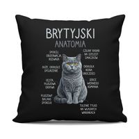 Brytyjski - anatomia - czarna poduszka na prezent dla kociary