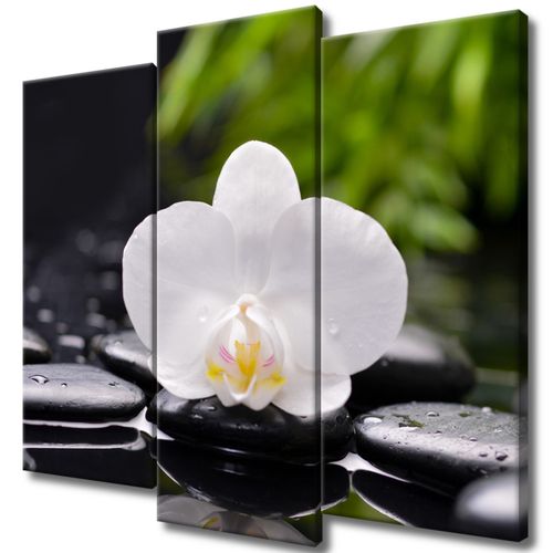 Obraz Tryptyk 90X80 Biała Orchidea na Arena.pl