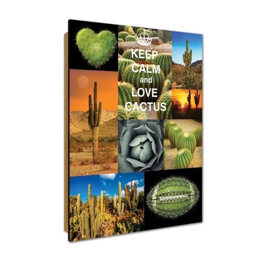 Deco Panel, Keep calm and love cactus 60x80 na Arena.pl