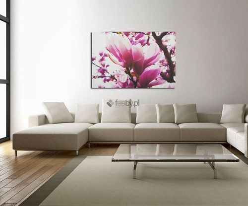 Obraz na płótnie - Canvas, Magnolia 70x100 na Arena.pl