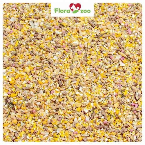 NATURALNA KARMA PASZA ZIARNO Z PIETRUSZKA KOLENDRA DLA DROBIU KUR NIOSKA na Arena.pl