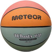 ND05_P1123-5 16795 Pika koszykowa Meteor Whats