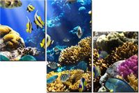 60 90CM OBRAZ 3 ELEM RAFA KORALOWA ŚCIENNY DRUK PŁÓTNO