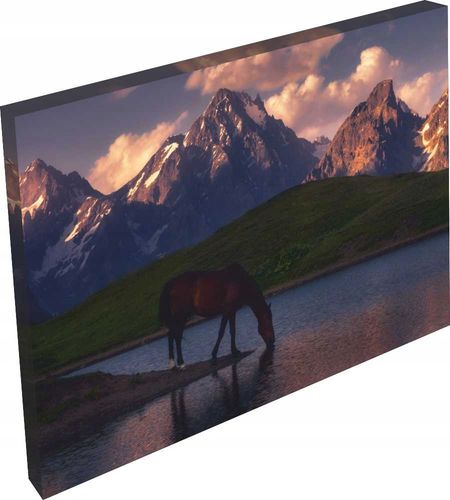 OBRAZ na płótnie widok most do salonu pokoju 120cm na Arena.pl