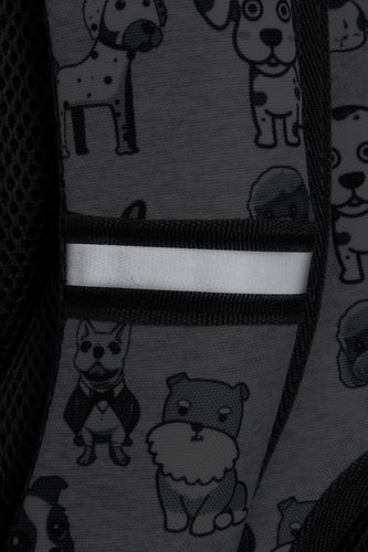 Coolpack-SPINER M-Plecak-DOGGIES na Arena.pl