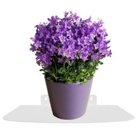 Solidny metalowy kwietnik wiszący ścienny loft półka na ścianę biały