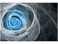 OBRAZ BLUE ROSE