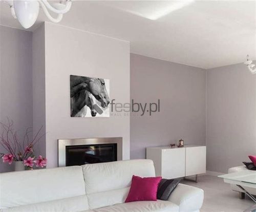 Obraz na płótnie - Canvas, Konie 60x60 na Arena.pl